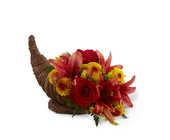 FTD Fall Harvest™ Cornucopia by Better Homes and Gardens  from Backstage Florist in Richardson, Texas